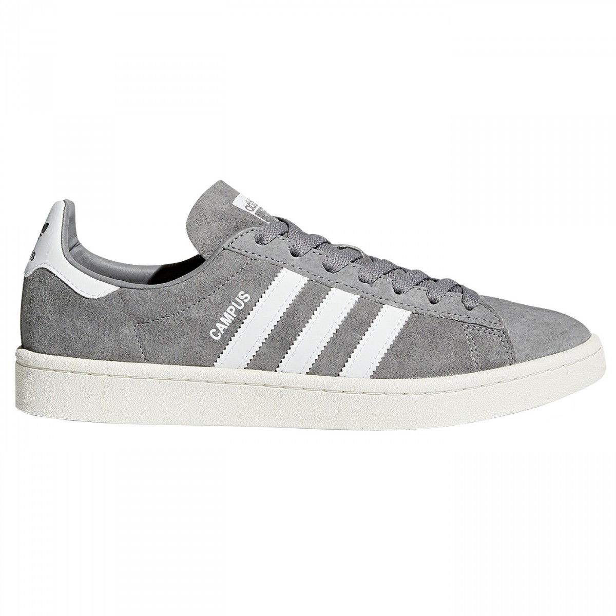 adidas campus homme