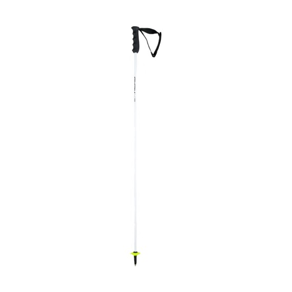 Ski poles Head Worlcup Rebels Carbon