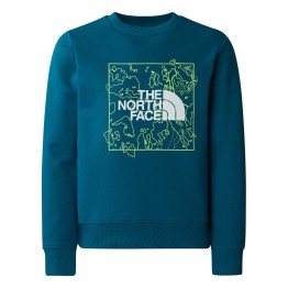 THE NORTH FACE The North Face Teen New Graphic Crew Sweatshirt