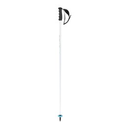 HEAD Head WC SL Ski Poles