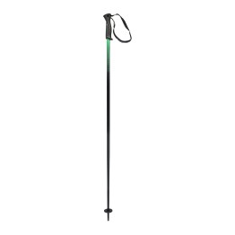 HEAD Head Frontside Green Ski Poles