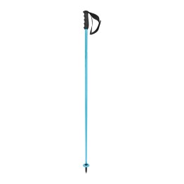  Head WC SL Speedblue Ski Poles