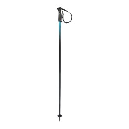 HEAD Head Frontside Speedblue Ski Poles