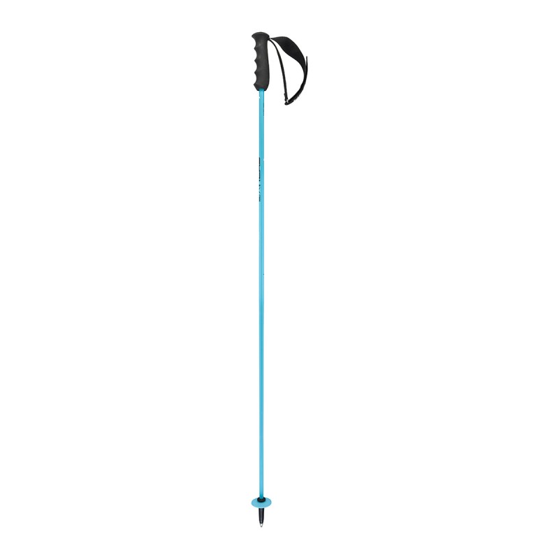 HEAD Head WC Rebels Carbon Ski Poles