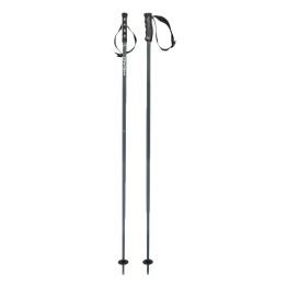 HEAD Head Multi Middle Grey Ski Poles