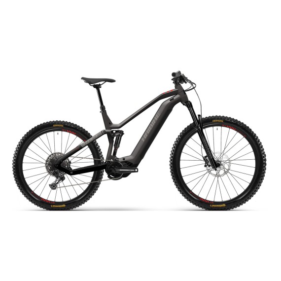 HAIBIKE E-bike Haibike Allmtn 2